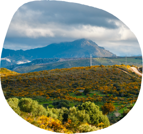 andalusia doñana-image